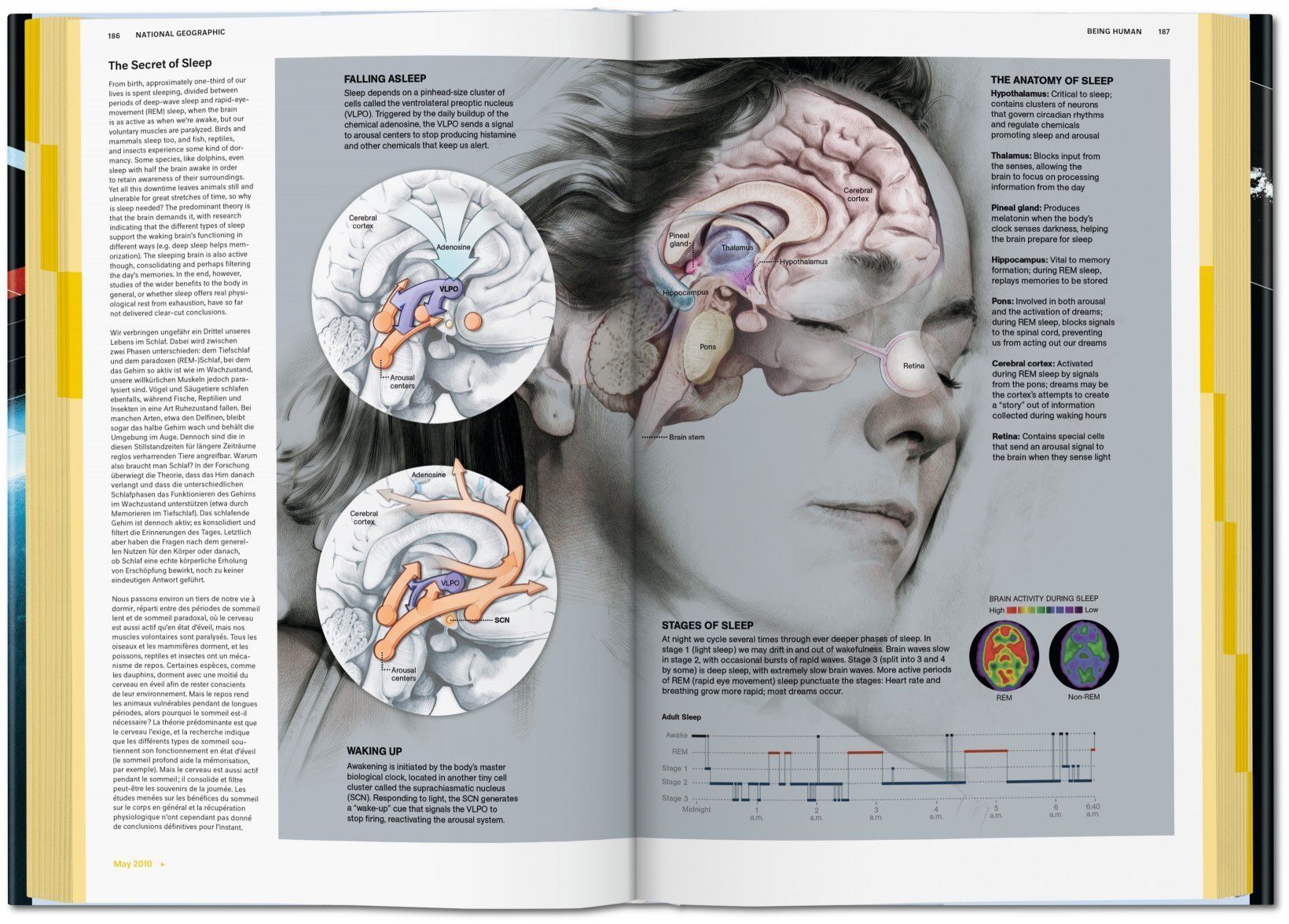 National Geographic Infographics