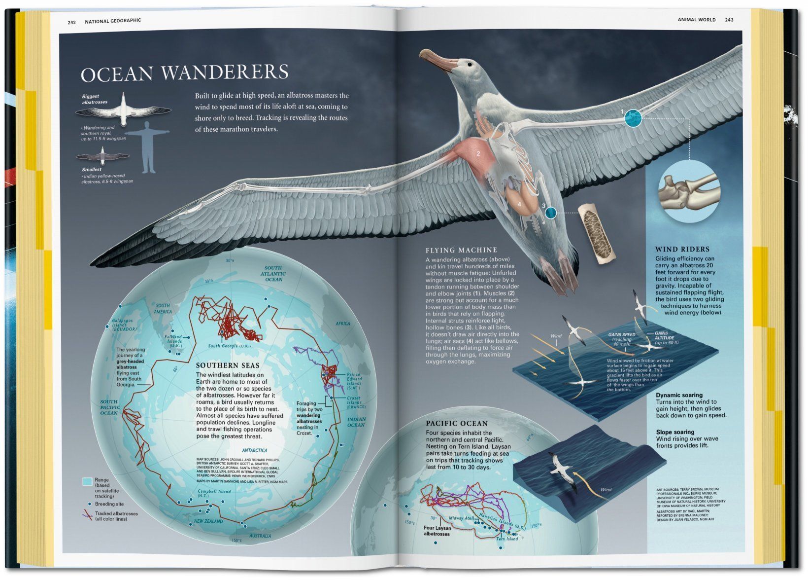 National Geographic Infographics