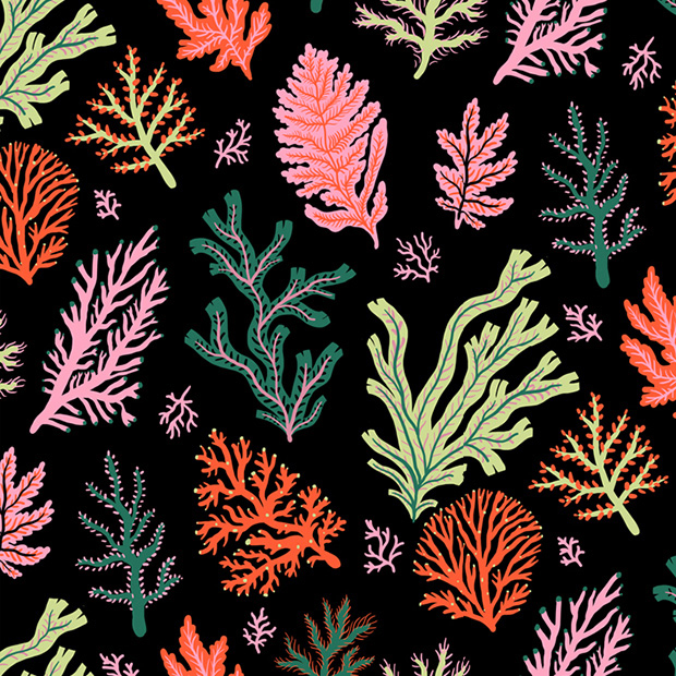 pattern Marcos Navarro