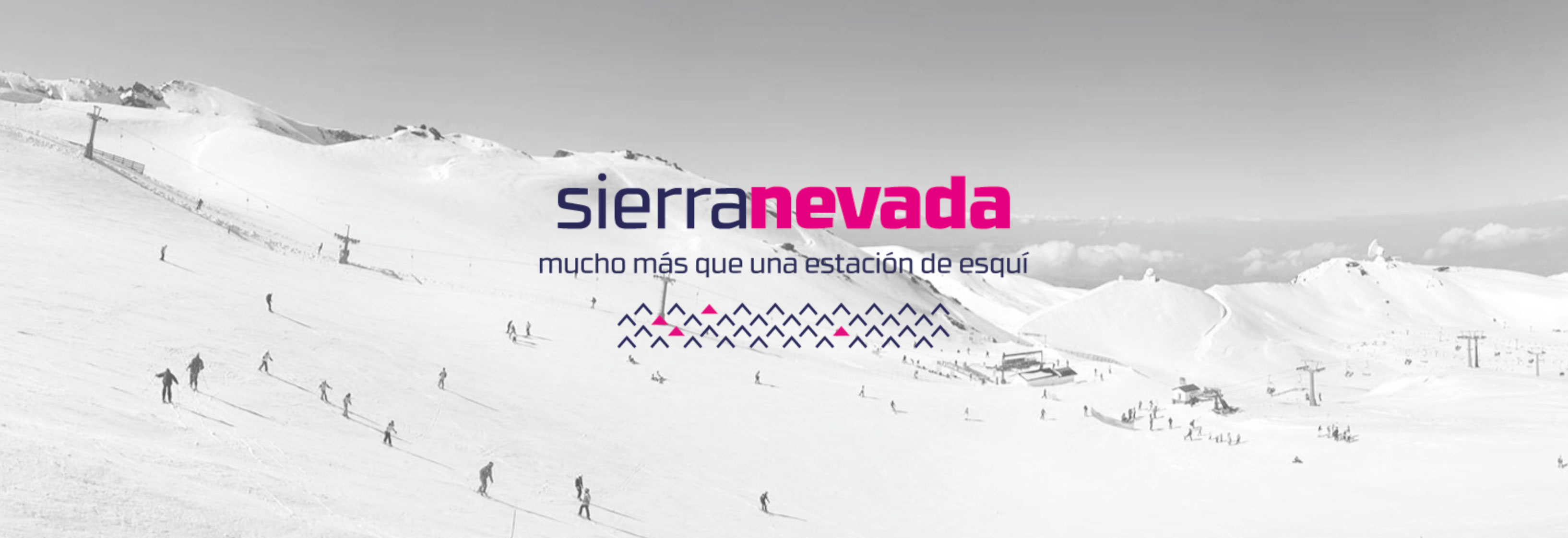 logotipo sierra nevada