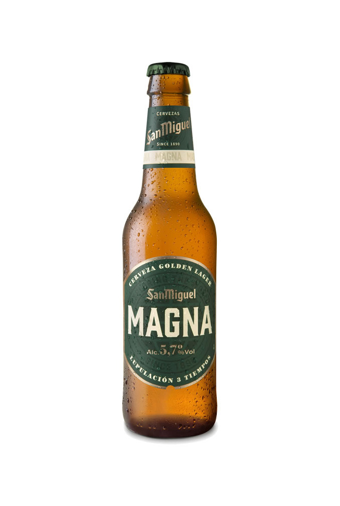 Nueva imagen San Miguel magna