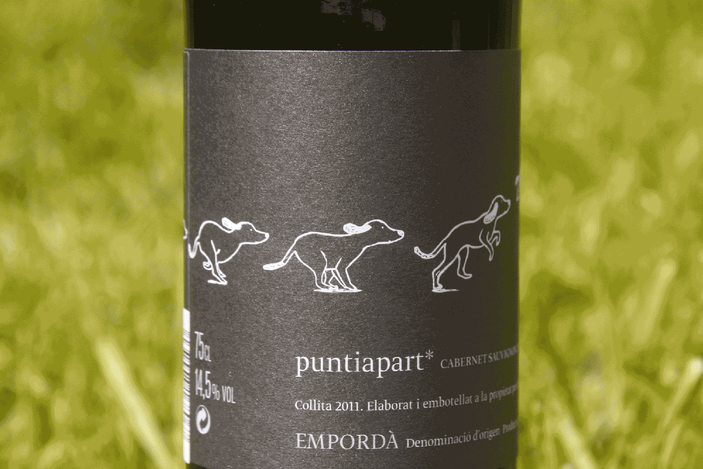 La Vinyeta